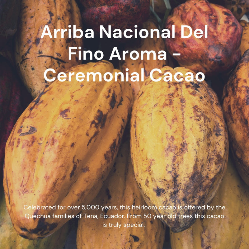 ARRIBA  NACIONAL DEL FINO AROMA - Ecuadorean Ceremonial Cacao
